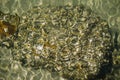 Ocean shallow water with rocky coast underwater showing abstract pattern surface.