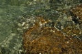 Ocean shallow water with rocky coast underwater showing abstract pattern surface.