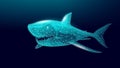 Ocean shark bottom view from below. Open toothy dangerous mouth with many teeth. Underwater blue sea waves clear water Royalty Free Stock Photo