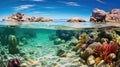 ocean shell beach landscape