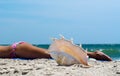 ocean shell on the sand against the background of a tanning girl in a colorful swimsuit on the beach Royalty Free Stock Photo