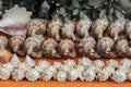Ocean shells from Caribbean market Royalty Free Stock Photo