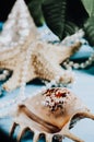 Ocean shells, starfish and pearls on a blue background c Royalty Free Stock Photo