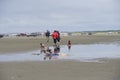 Kids were playing on Ocean Shores Royalty Free Stock Photo