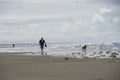 Man and dog were playing on Ocean Shores Royalty Free Stock Photo