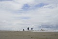 People were playing on Ocean Shores Royalty Free Stock Photo