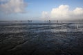 OCEAN SHORES, WA/USA Ã¢â¬â NOVEMBER 24, 2019: Copalis Beach, people out digging for razor clams at low tide in late afternoon. Royalty Free Stock Photo