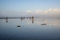 OCEAN SHORES, WA/USA Ã¢â¬â NOVEMBER 24, 2019: Copalis Beach, people out digging for razor clams at low tide in late afternoon.