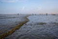 OCEAN SHORES, WA/USA Ã¢â¬â NOVEMBER 24, 2019: Copalis Beach, people out digging for razor clams at low tide in late afternoon. Royalty Free Stock Photo