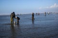 OCEAN SHORES, WA/USA Ã¢â¬â NOVEMBER 24, 2019: Copalis Beach, people out digging for razor clams at low tide in late afternoon. Royalty Free Stock Photo