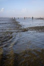 OCEAN SHORES, WA/USA Ã¢â¬â NOVEMBER 24, 2019: Copalis Beach, people out digging for razor clams at low tide in late afternoon. Royalty Free Stock Photo