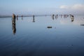 OCEAN SHORES, WA/USA Ã¢â¬â NOVEMBER 24, 2019: Copalis Beach, people out digging for razor clams at low tide in late afternoon.