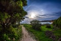 Ocean, sky, sun and trees near the beach in Portimao, Portugal