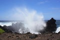 Ocean spray from large waves crashing into lava rock on the shore of Laupahoehoe Point on the island of Hawaii