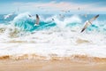 Ocean storm and flying seagulls. Seascape. Mexico. Baja California Sur.