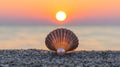 The ocean sunrise is accompanied by seashells and a pearl on a sandy beach Royalty Free Stock Photo