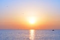 Ocean sunrise and birds Royalty Free Stock Photo