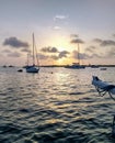 Ocean sunrise in the morring field key west florida Royalty Free Stock Photo