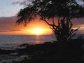 Ocean Sunset Royalty Free Stock Photo