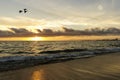 Ocean Sunset Birds Royalty Free Stock Photo