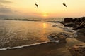 Ocean Sunset Birds Royalty Free Stock Photo