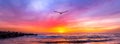 Ocean Sunset Inspirational Bird Banner Royalty Free Stock Photo