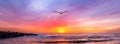 Ocean Sunset Landscape Bird Banner High Resolution Image Royalty Free Stock Photo