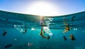 Ocean surface with plastic bottles and debris floating with sun rays shining through water Royalty Free Stock Photo
