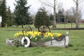 Ocean theme garden bed