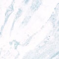Ocean Tile Backdrop. Aqua Marble Splash. Cobalt Mosaic Exterior. White Interior Vintage. House Liquid. Stone Background. Decoratio
