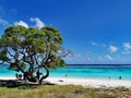 Ocean and tree view @ Yejele Turquoise Beach, Mare, New Caledonia