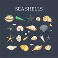 Ocean tropicar exotic set with sea shells. Royalty Free Stock Photo