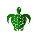 Ocean Turtle Icon