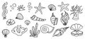 Ocean underwater shell doodle set, tropical outline sea cartoon icons for vacation textile, isolated on white kit Royalty Free Stock Photo