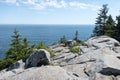 Ocean View from cliff in Acadia National Park