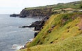 Ocean view from the cliff, volcanic rocks below, Cinco Ribeiras, Terceira, Azores, Portugal