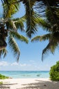 Ocean view with coconut palms and boats Royalty Free Stock Photo