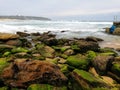 Ocean View @ Curl Curl Beach, NSW Australia