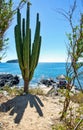 Ocean view from an island near Zihuatanejo, Mexico