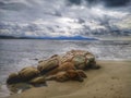 Water reflection on the sea shore landscape on the sea shore with blue sky above. Royalty Free Stock Photo