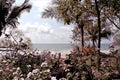 Ocean view looking through a garden of flowers and palms Thailand