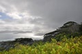 Ocean view over Praslin island with dramatic sky and the tropical Cocoplum Chrysobalanus icaco plant in foreground Royalty Free Stock Photo