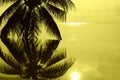Ocean view and palm tree reflected in the swimming pool. Tropical background yellow color toned Royalty Free Stock Photo