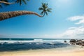 Ocean view with palm trees over the waves Royalty Free Stock Photo