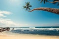 Ocean view with palm trees over the waves Royalty Free Stock Photo