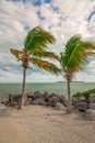 Ocean View With Palm Trees and Rocks and Beautiful Clouds Royalty Free Stock Photo