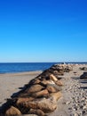 Ocean View with rocks