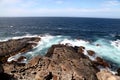 Ocean view - Seals lying on the Rocks