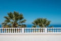 Ocean view terrace with blue sky and palm tree background Royalty Free Stock Photo