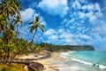 Ocean view in Varkala Kerala India Royalty Free Stock Photo